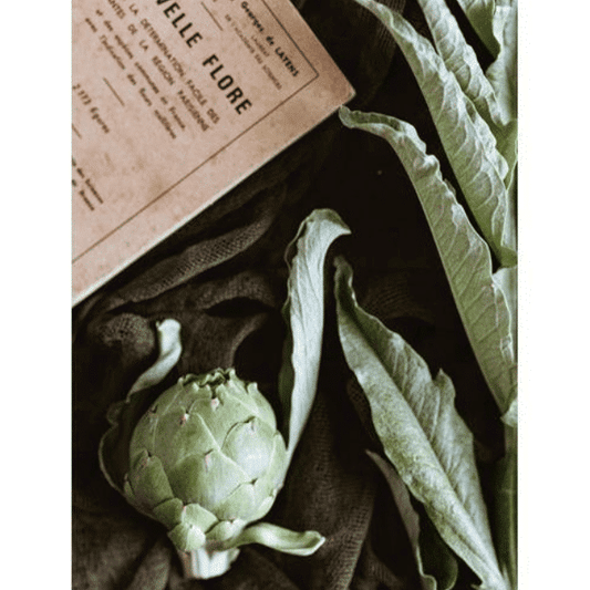 plantes_tinctoriales_03