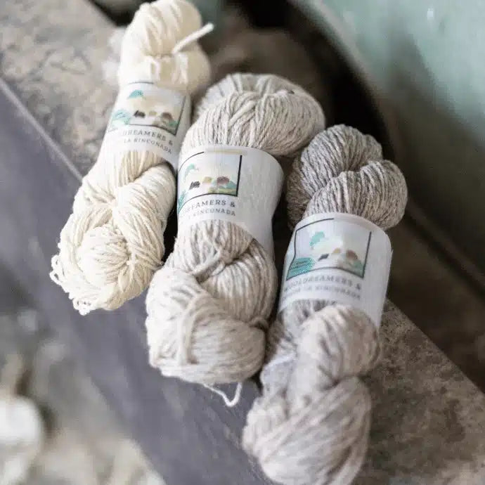 Wooldreamers_La_rinconada_cover