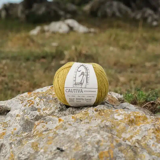 Pelote de Cautiva, Wooldreamers.