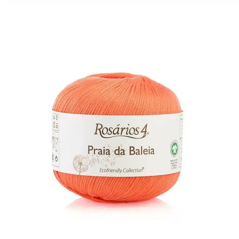 Praia da Baleia - Rosários 4