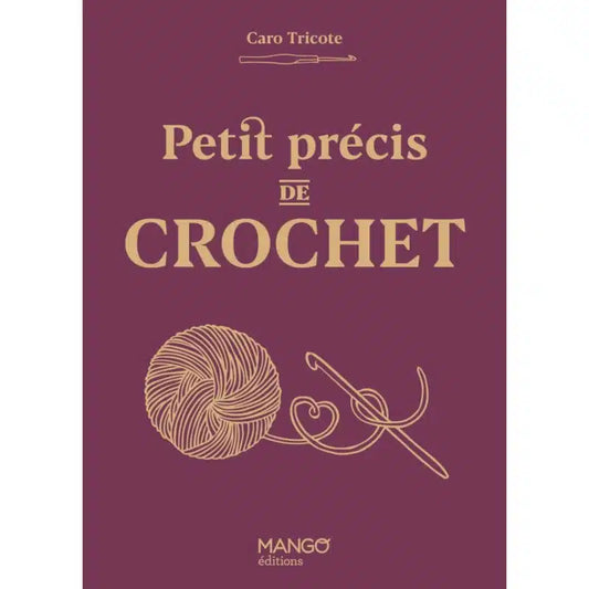 Petit_precis_de_crochet