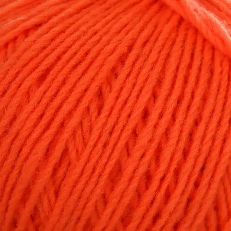 Mota Neón - Wooldreamers