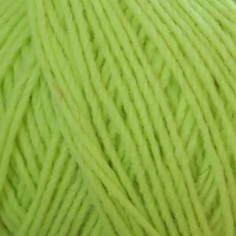 Mota Neón - Wooldreamers