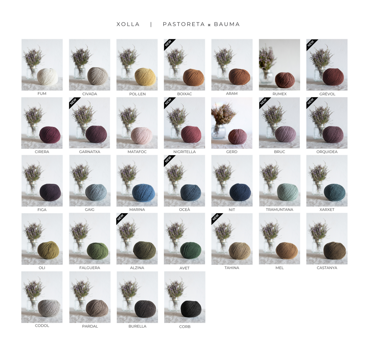 NOUVEAUX COLORIS ! - Bauma - Xolla