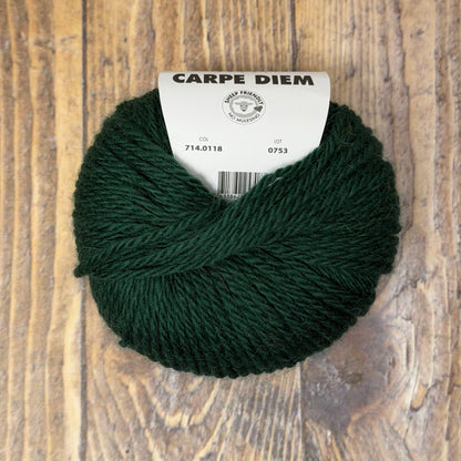 Carpe Diem - Lang Yarns