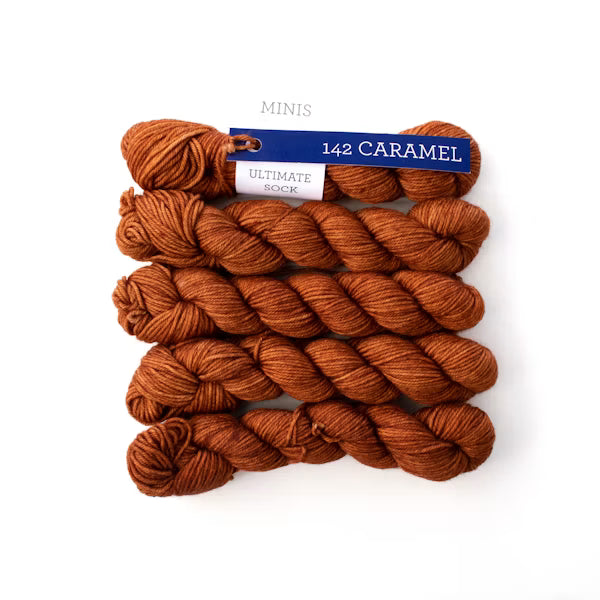 Ultimate Sock Minis - Malabrigo