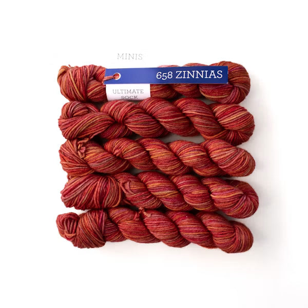 Ultimate Sock Minis - Malabrigo