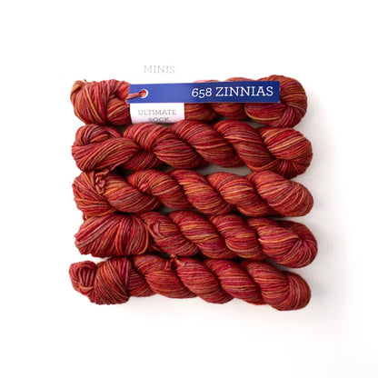 Ultimate Sock Minis - Malabrigo