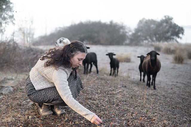 Kit Utopia pullover (Pastoreta) - Elena Solier Jansà